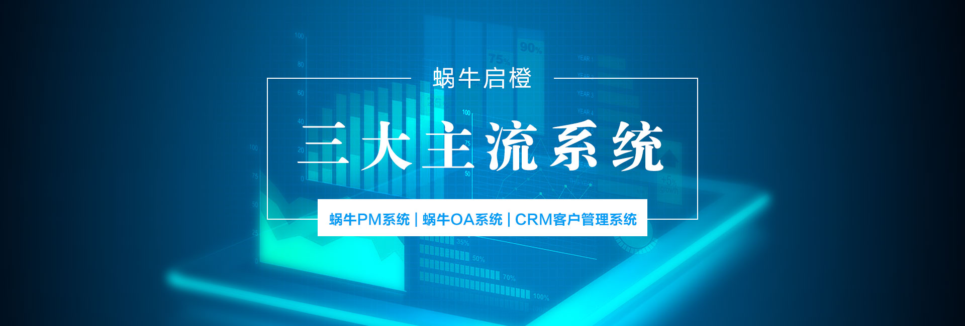 企业pm系统开发